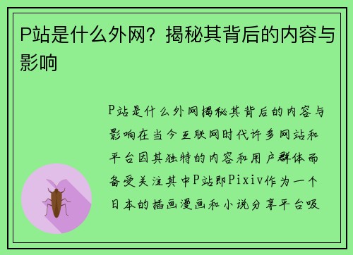 P站是什么外网？揭秘其背后的内容与影响